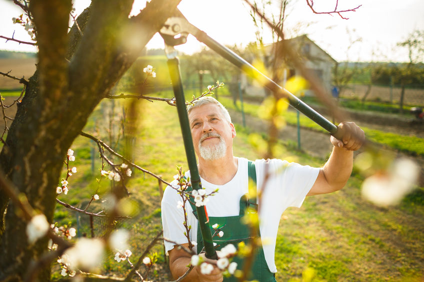 Petits travaux de jardinage | Econico Services